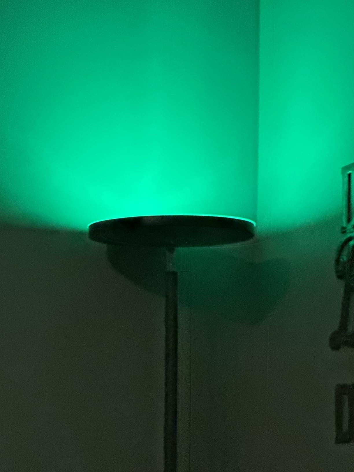 SUNMORY RGB Floor Lamps for Living Room, LED Lamp with APP Remote Control customer photo 2