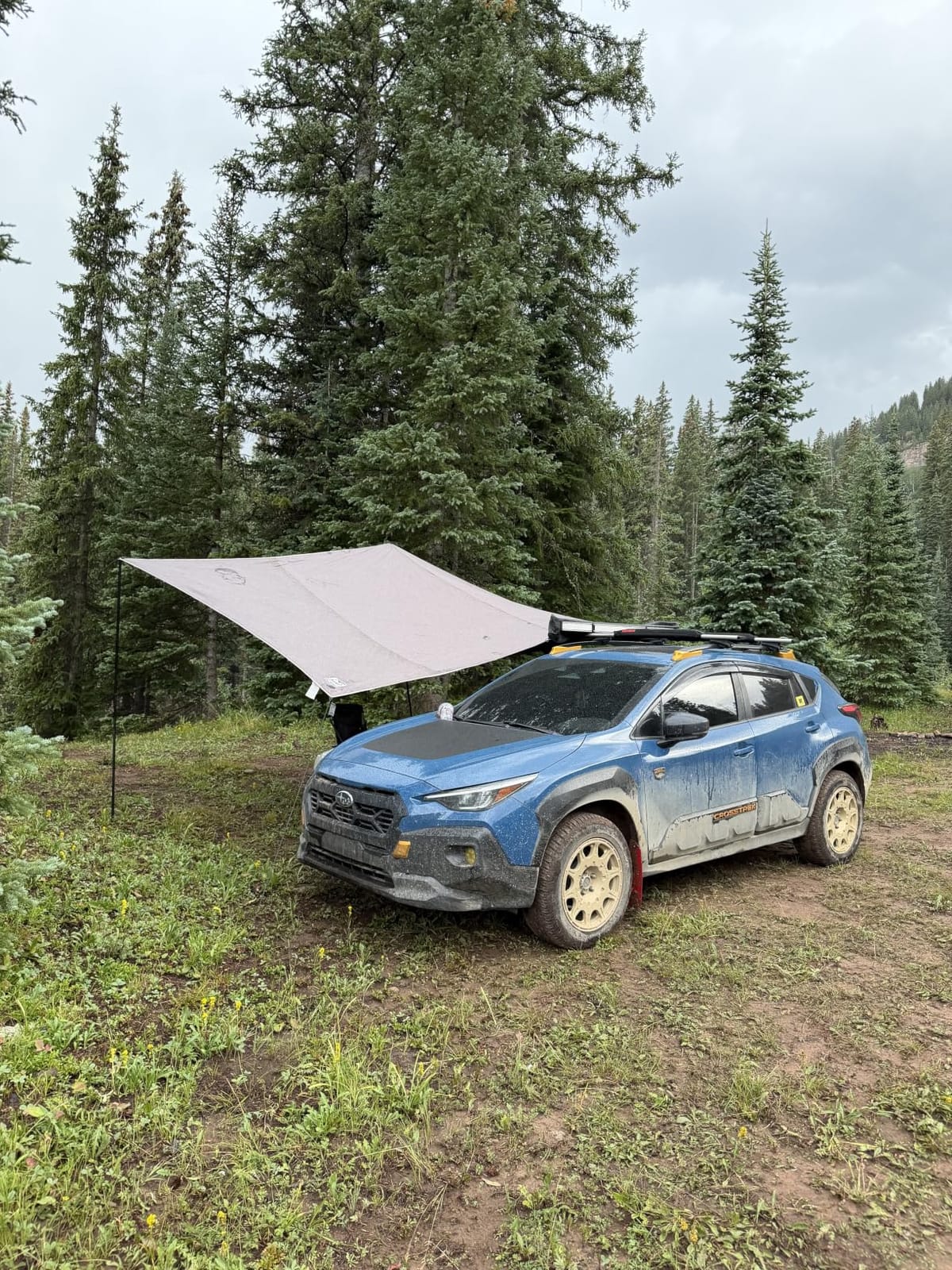 TIMBER RIDGE Blackout Coating Car Awning, 19x9.8ft, Green customer photo 2