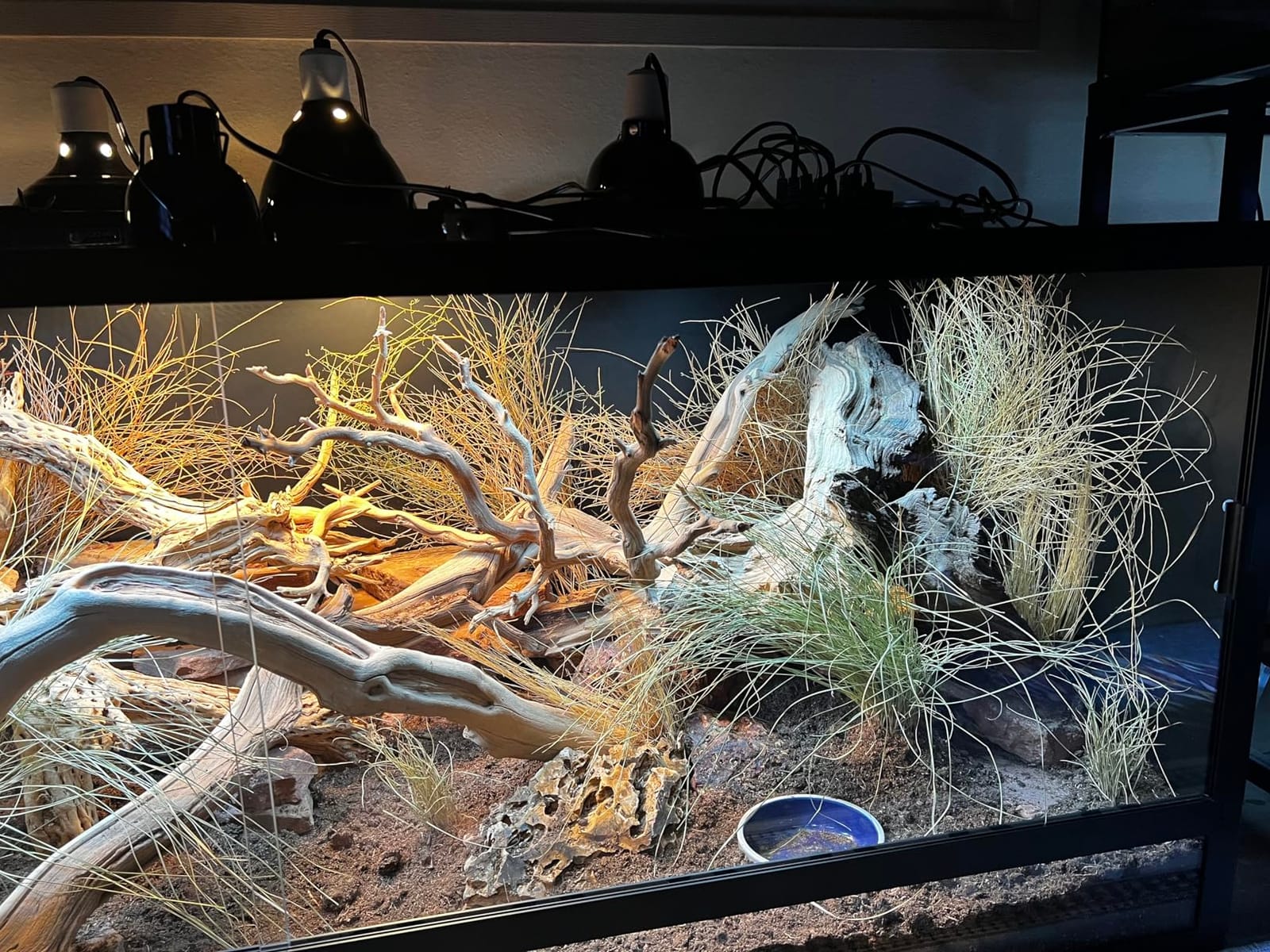 Reptile Habitats 5x2x2 (150 Gallon) Reptile Enclosure V3, Features PVC Panels, Glass Doors, Lightweight, Easy to Assemble, Heavy Duty Screen, Aluminum Frame customer photo 1
