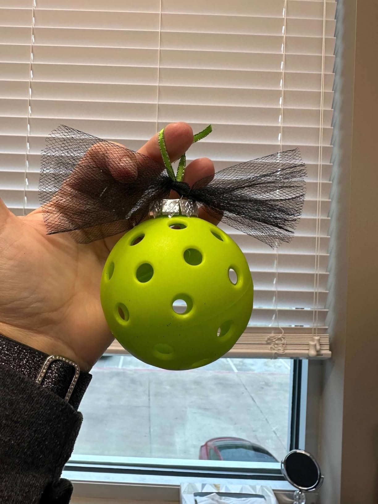 48 Pack Premium Outdoor Pickleball Balls, Meet USAPA Official Standards customer photo 1