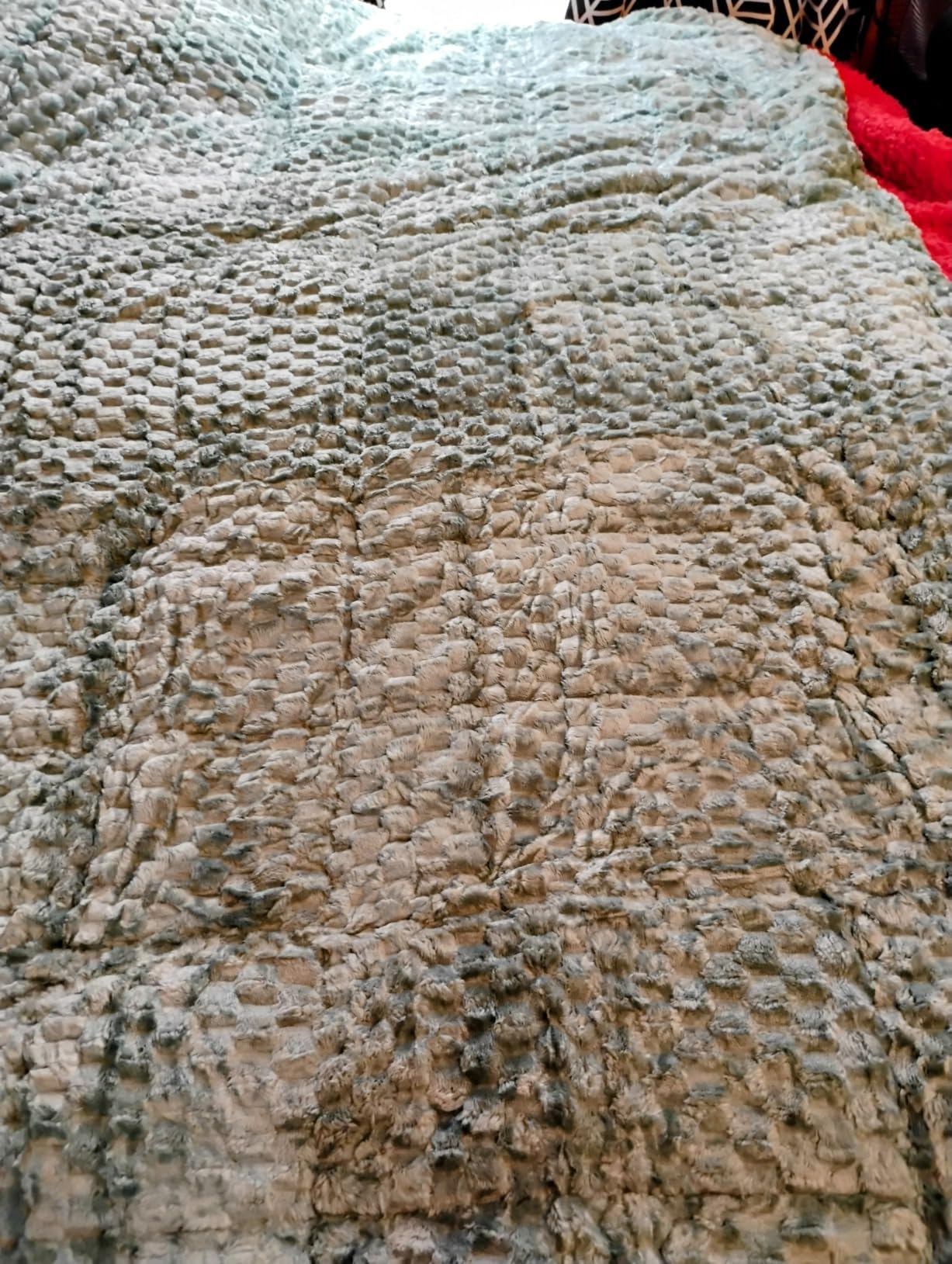 Fleece Sherpa Weighted Blanket for Teens, Ultra Soft Fuzzy, 41