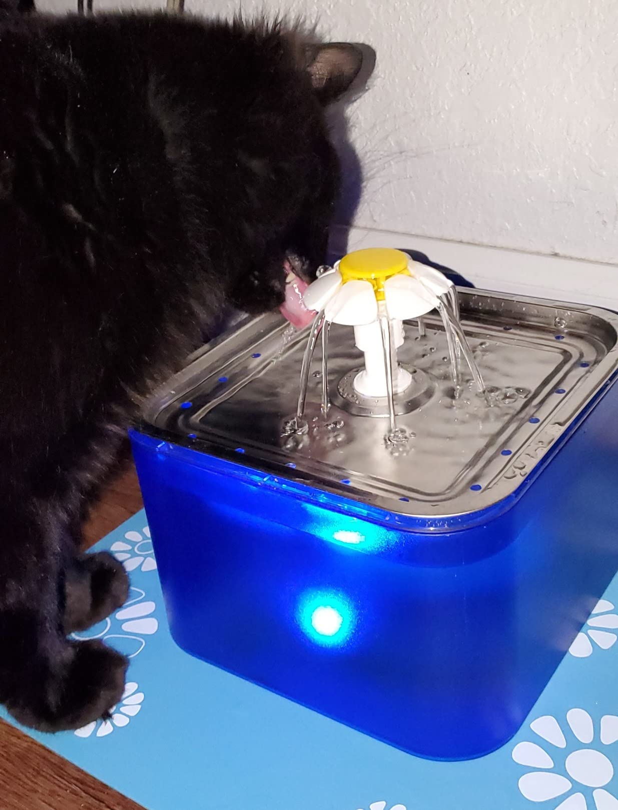Wonder Creature Crystal Cat Water Fountain Stainless Steel Lid, 101oz/3L customer photo 1