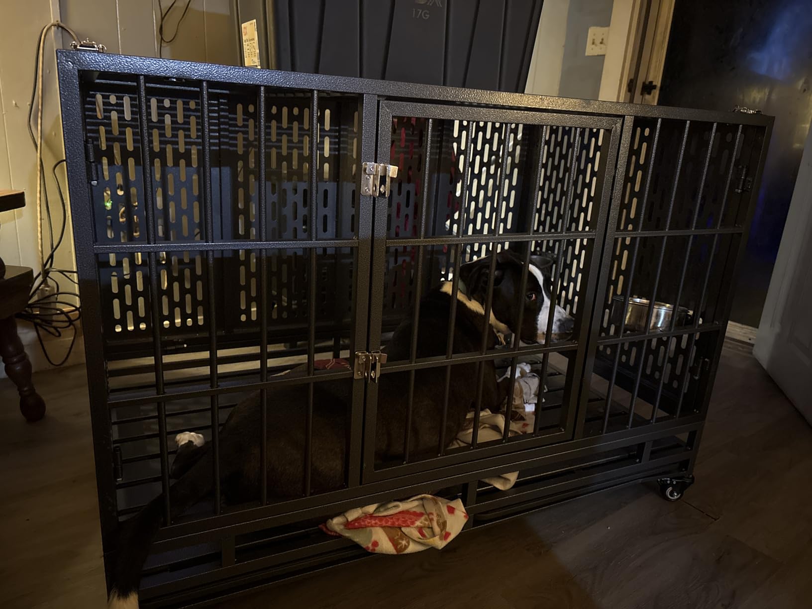 Snuowu 54 Inch Heavy Duty Dog Crate with Wheels, Metal Big Dog Cage for Large and Medium Dogs, Extra Large XL XXL Indestructible Dog Crate with Removable Tray. customer photo 1