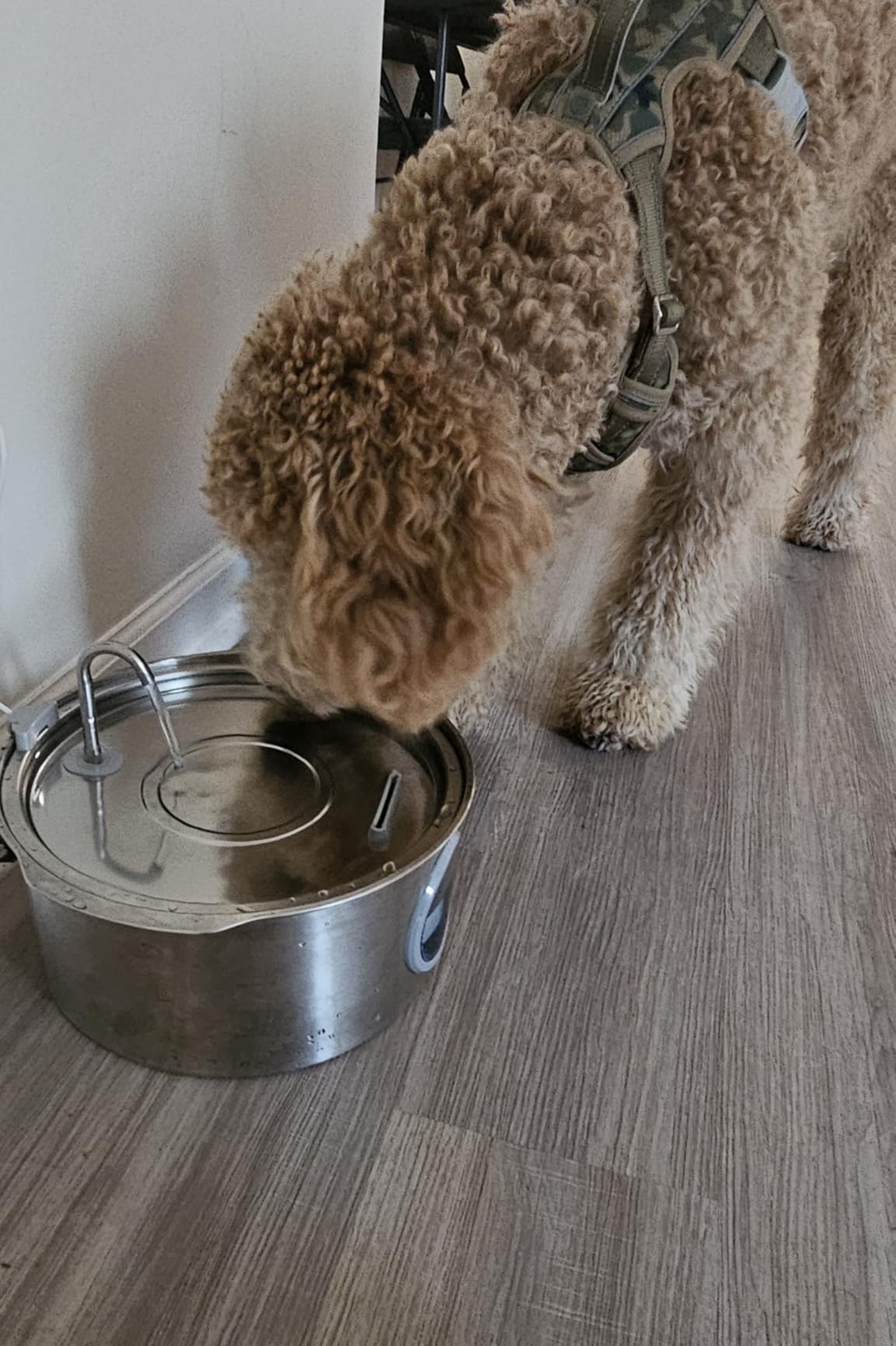 Dog Water Fountain for Large Dogs: 7L/236oz/1.8G Dog Fountain customer photo 2
