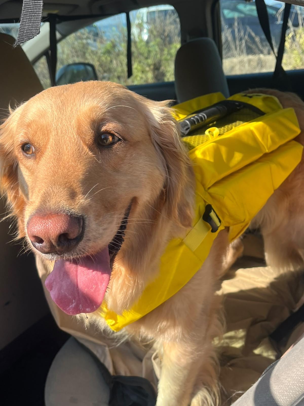 Noah & Paw Dog Life Jacket, 4X Foam Dog Life Vest, Rescue Handle, L 28-32in customer photo 2