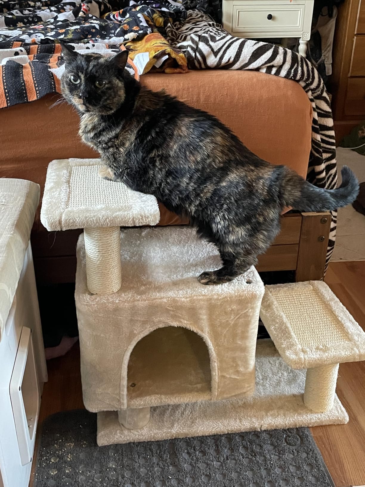 3-in-1 Cat Stairs with Scratching Post & Condo, Pet Steps, Dark Grey customer photo 1