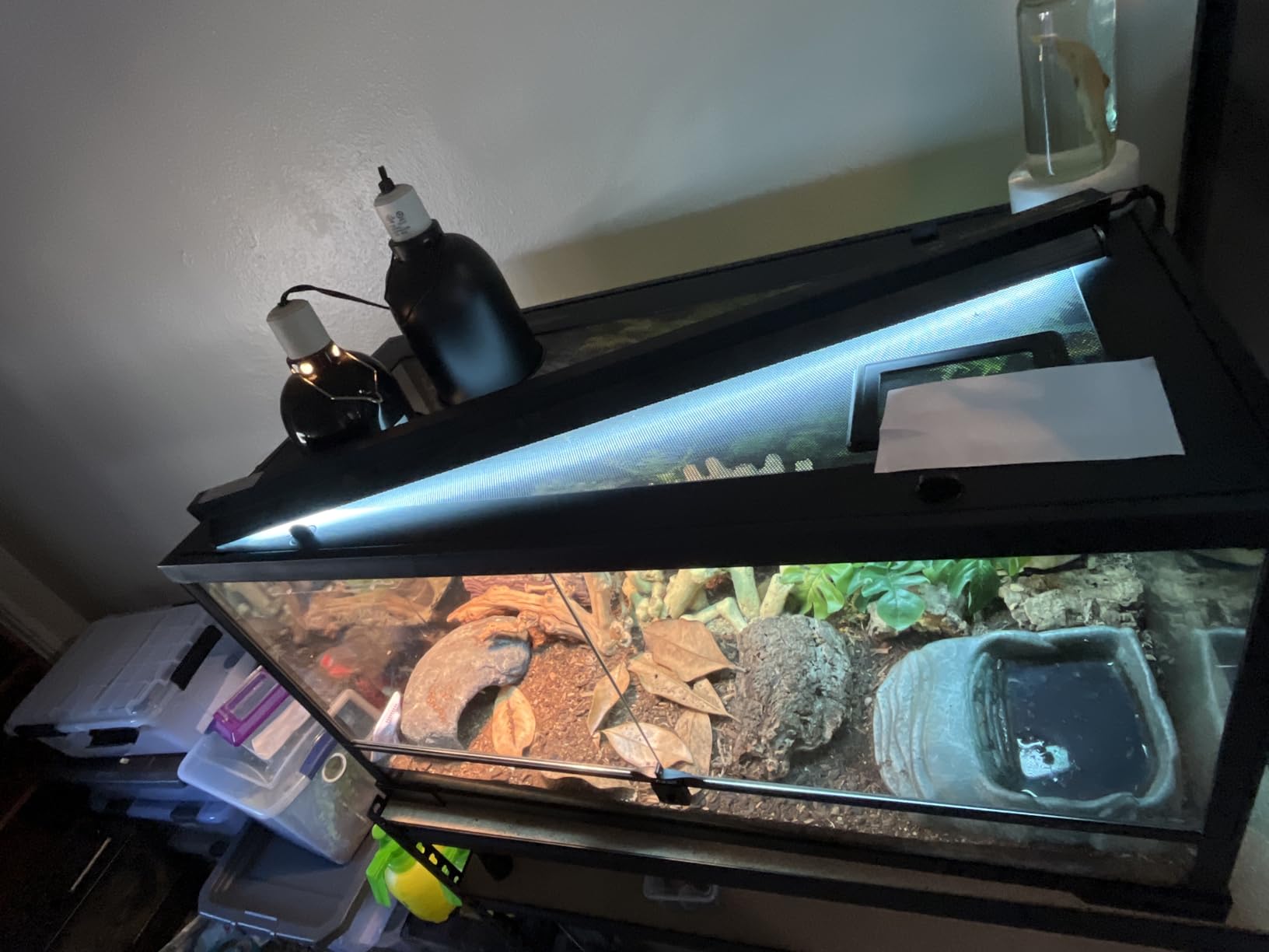 T5 UVB Reptile Light Fixture HO UVB Bulb Lighting Combo Kit, 10.0 UVB Light for Reptiles Terrarium Hood with 24W Reptile Light Bar UVA UVB Desert Lamp for Bearded Dragon Turtle Tank, 22Inch customer photo 1