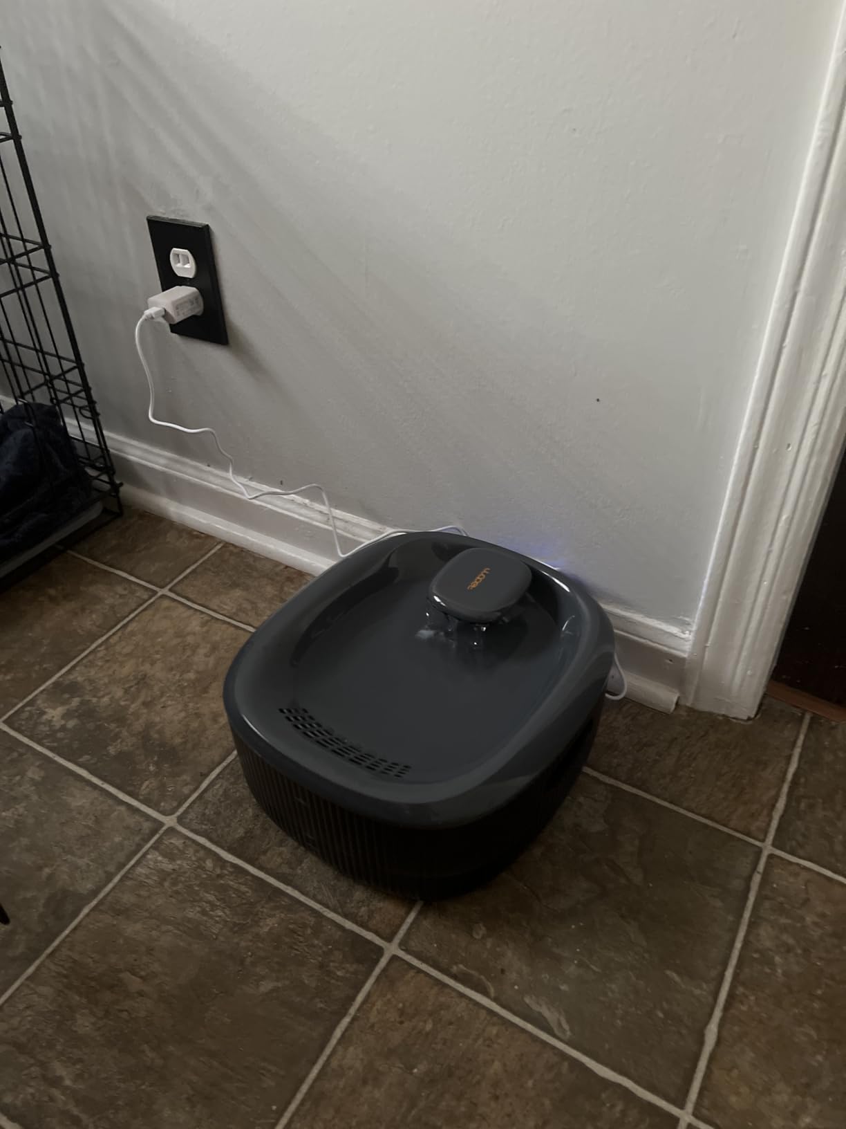 WOPET Dog Water Fountain for Large Dogs, 6L/205oz/1.6Gal Automatic Dog and Cat Water Fountain, Pet Water Dispenser with 2 Filters, Ultra-Quiet Pump, Great for Large Dogs Cats and Multi-Pet Home customer photo 2