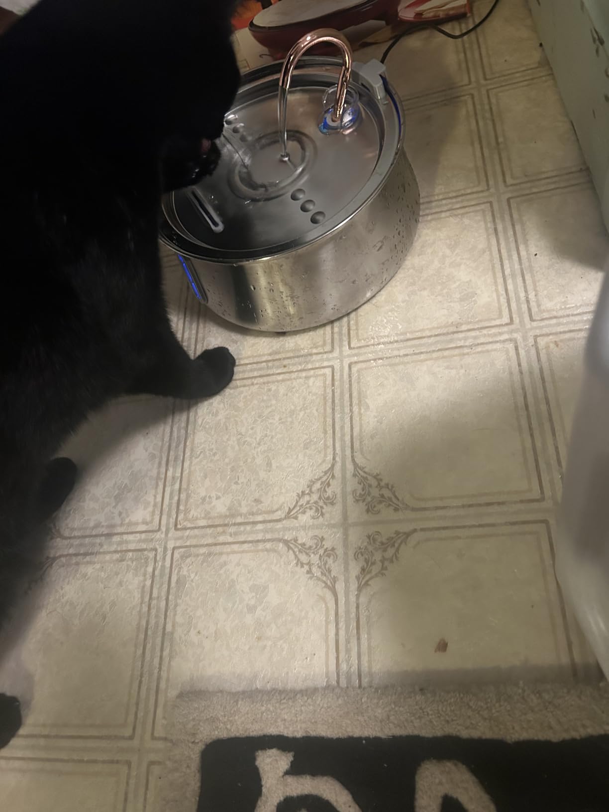 KittySpout Stainless Steel Cat Water Fountain Automatic Drinking Fountain, Quiet Circulating Water Bowl, Dishwasher Safe, Indoor Pet Fountain for Hydrated Healthy Cats (Stainless Steel, 4L Corded) customer photo 2