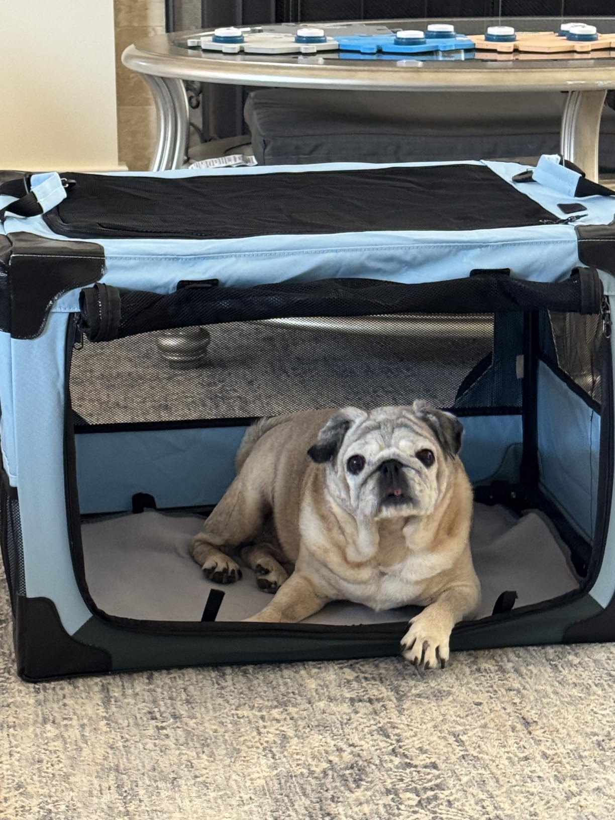 JOYTUTUS Collapsible Dog Crate, 38 Inch Portable Pet Crate for Car, Travel Dog Kennel Foldable Dog Crate for Large Dog 70lbs, Soft Cat Carrier Fit for Indoor & Outdoor/Trunk (Blue) customer photo 1