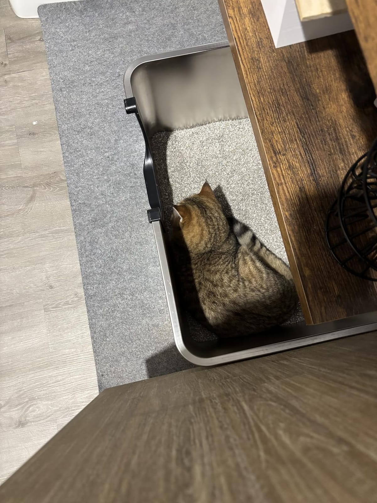 Yangbaga XXL High Sided Stainless Steel Litter Box for Cats customer photo 1