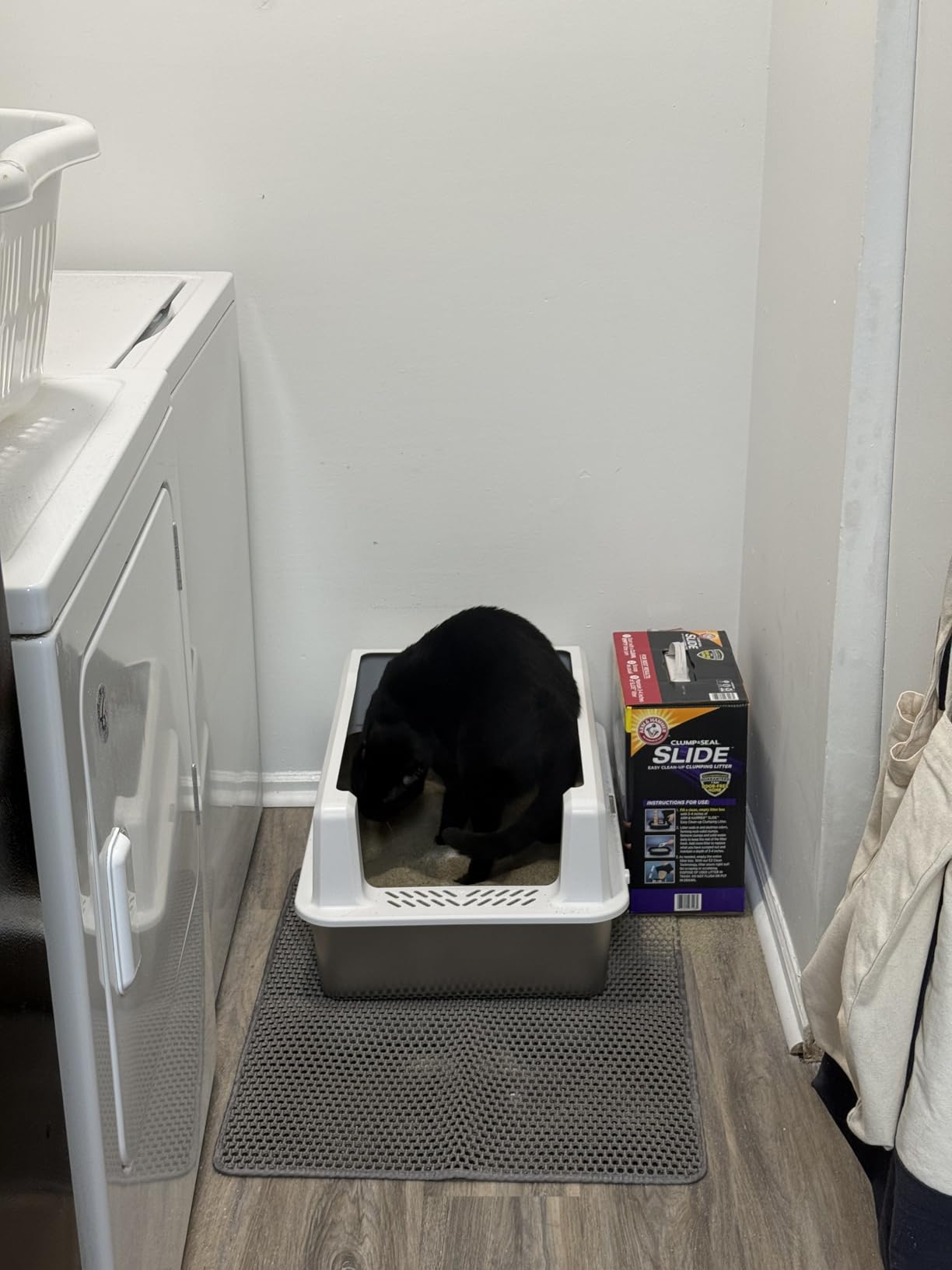 XXL Stainless Steel Litter Box with Lid for Multiple & Big Cats customer photo 2
