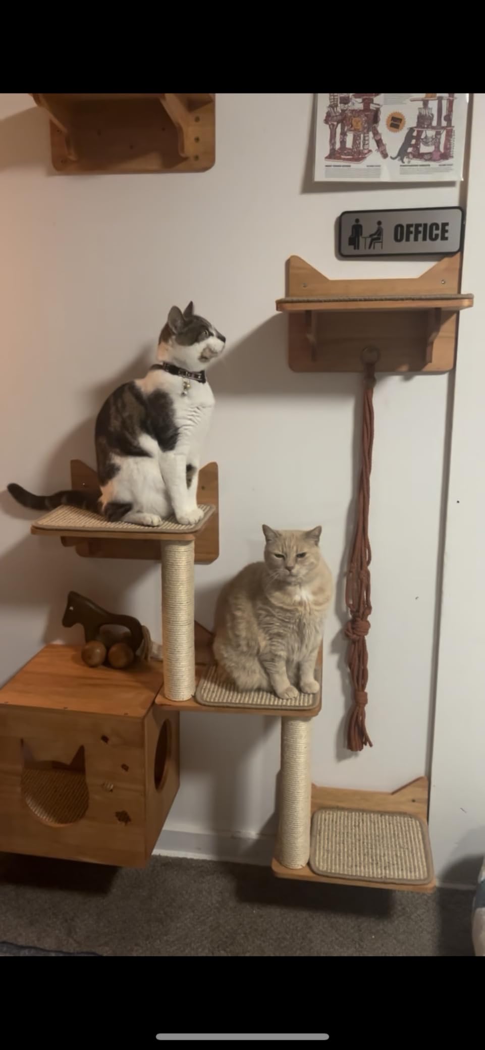 Wall Mounted Cat Tree, Cat Wall Shelves with Sisal Mats customer photo 2