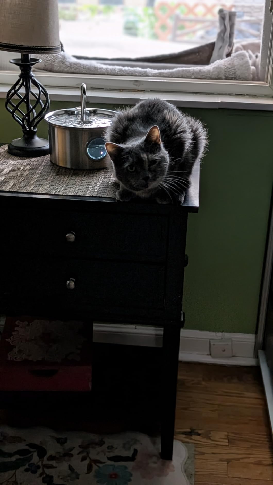 Cat Water Fountain Stainless Steel: Cat Fountain for Drinking - 88oz/2.6L customer photo 1