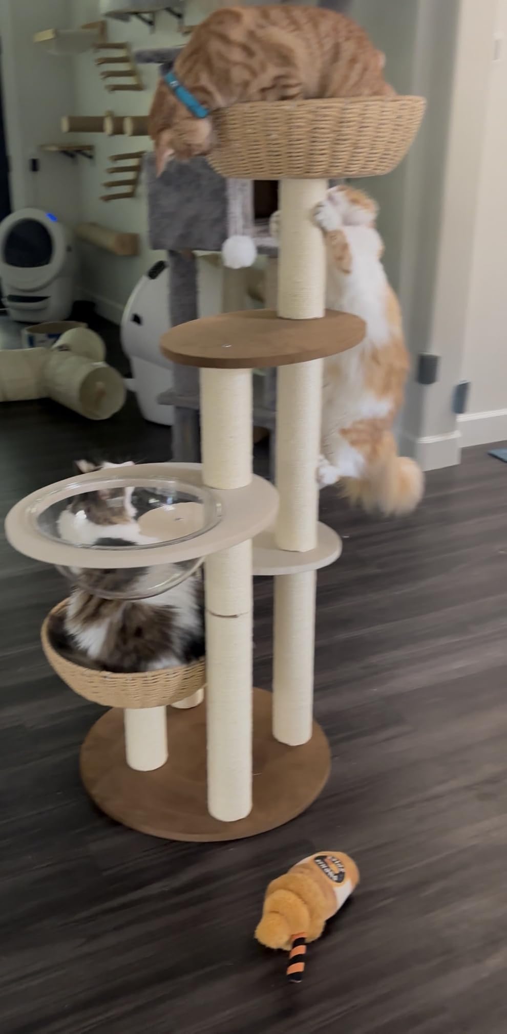 Modern Cat Tree for Indoor Cats, 30 in Cat Tower with Basket Bed customer photo 2
