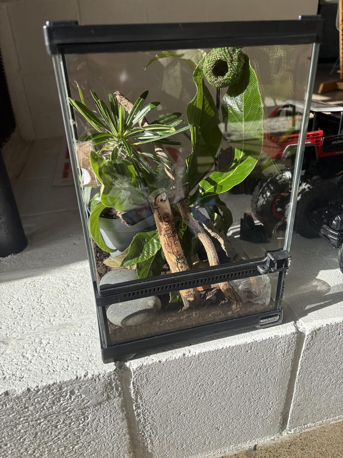 30 Gallon Tall Reptile Glass Tank Terrarium 18