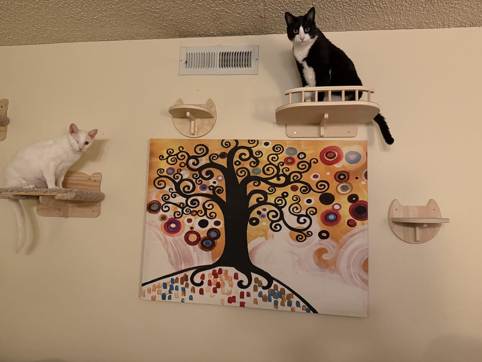 Cat Wall Shelves, Modern Cat Wall Furniture for Indoor Cats - Black customer photo 1
