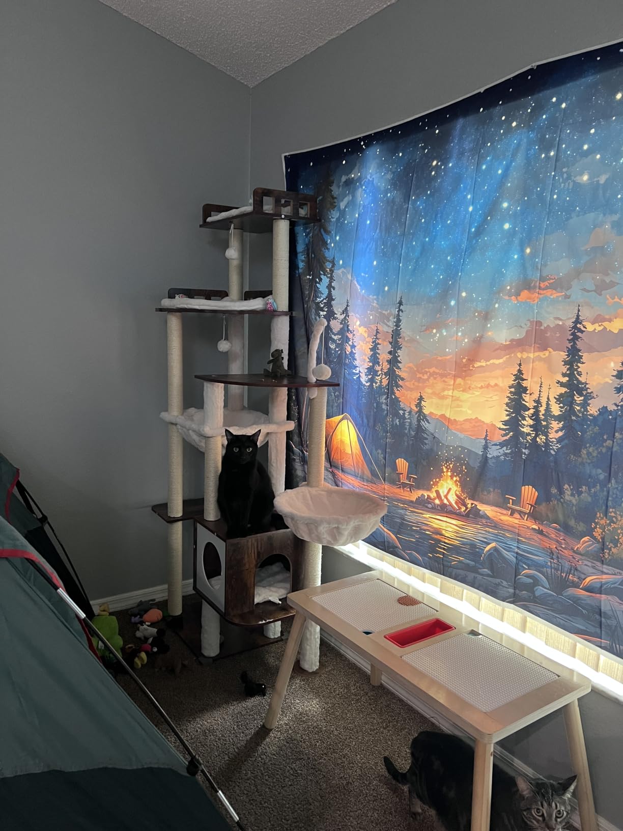Heybly Cat Tree, 70.5