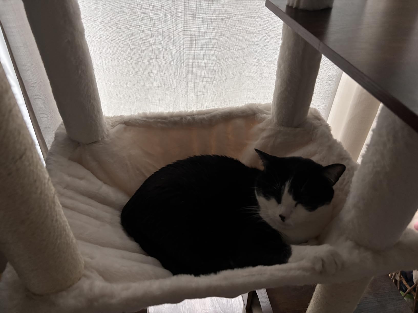 Heybly Cat Tree, 70.5