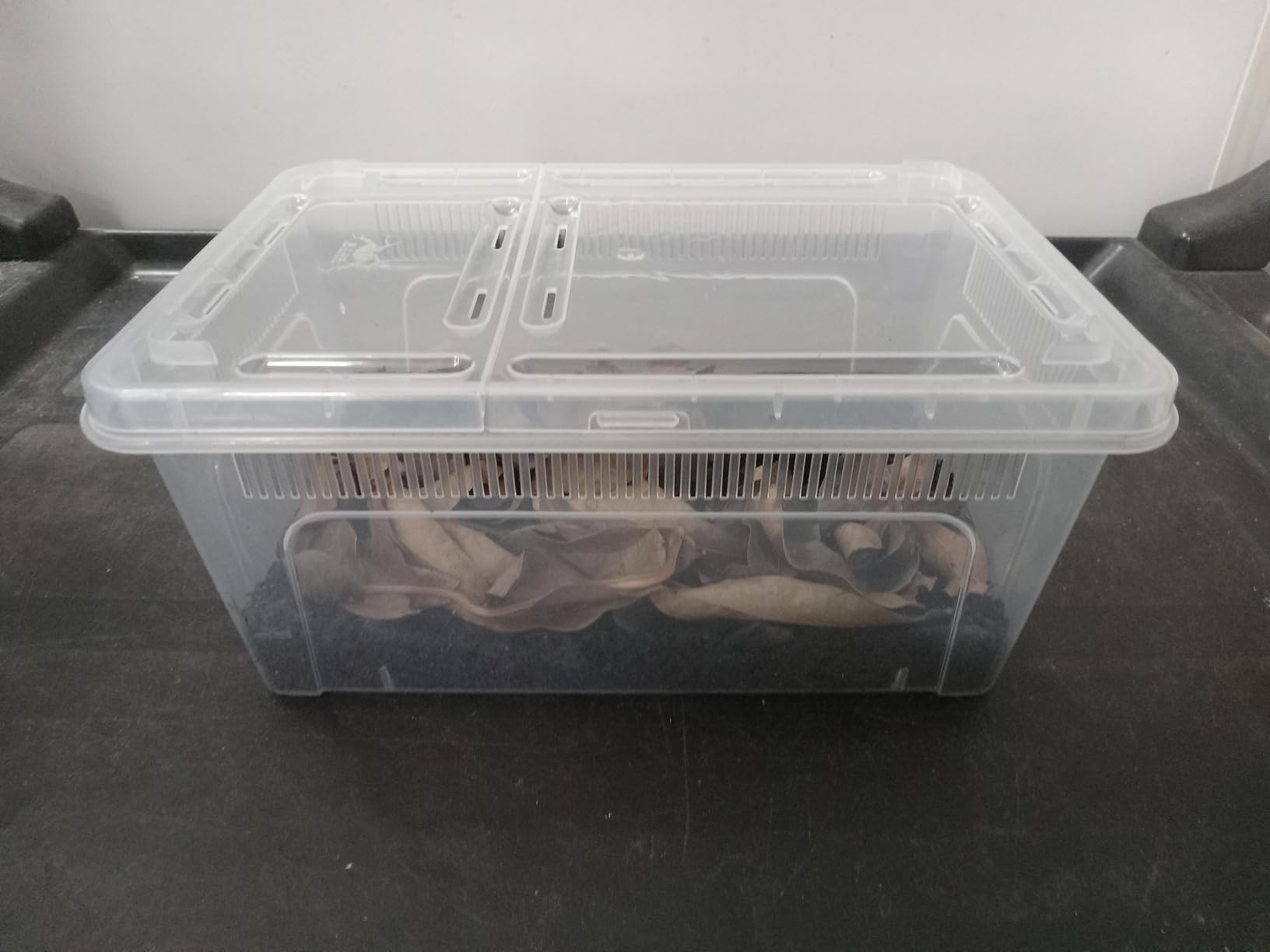 8 Pcs Reptile Breeding Box, Vent Strips, Clear, 10.6 x 7.4 x 4.7 Inch customer photo 1