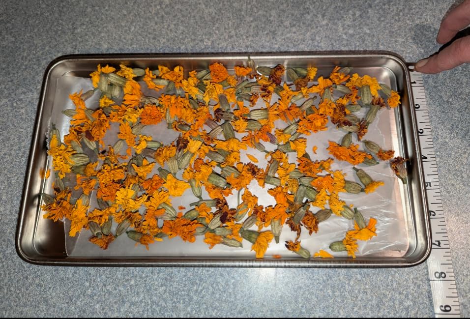 Metal Trays for Harvest Right Freeze Dryer, Medium Freeze Dryer accessories customer photo 2