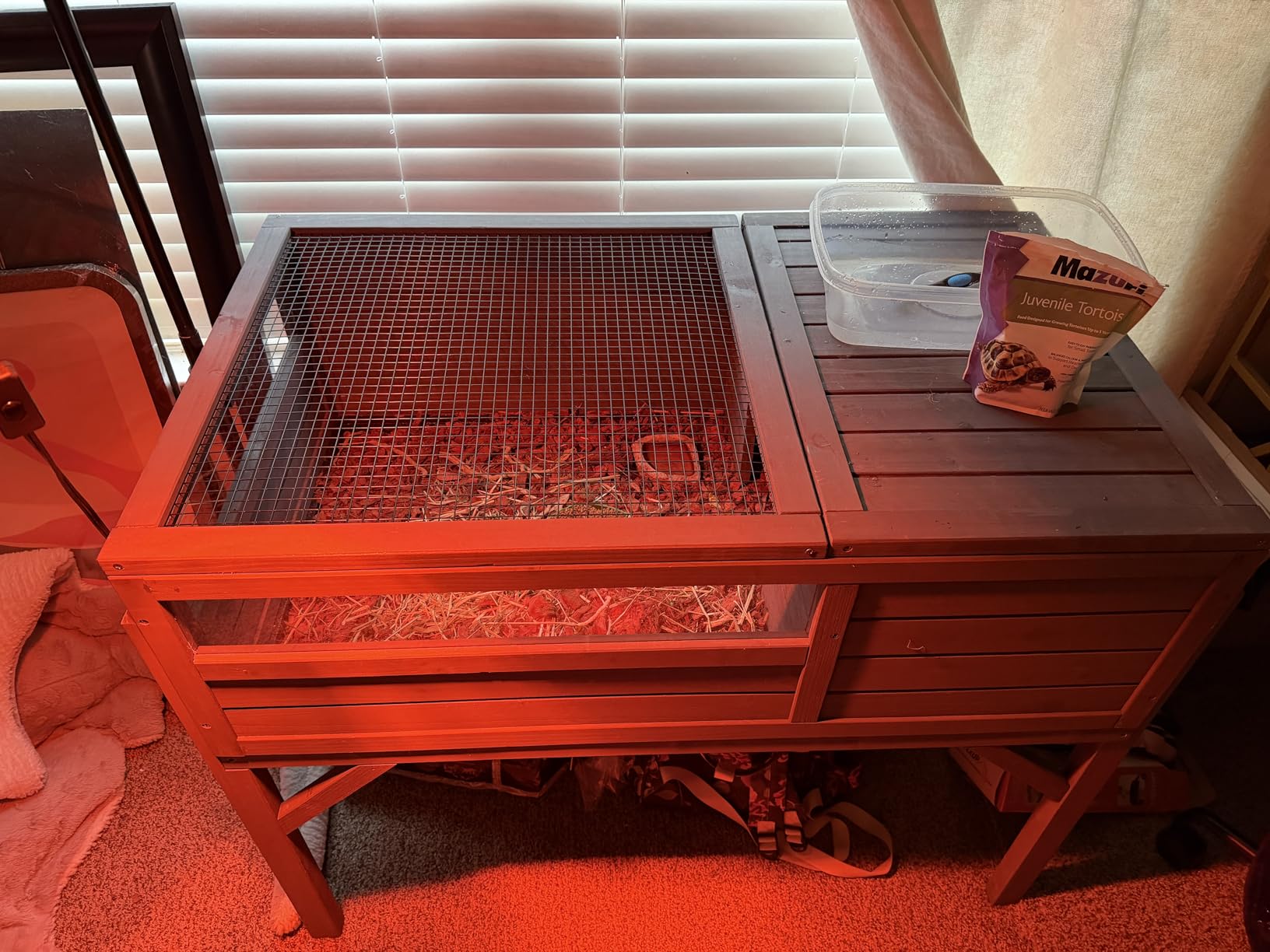 Aivituvin Tortoise Habitat Turtle Enclosure, Wooden Tortoise House Reptile Cage for Small Animals, Reptile Tank with Large Storage Shelf customer photo 1
