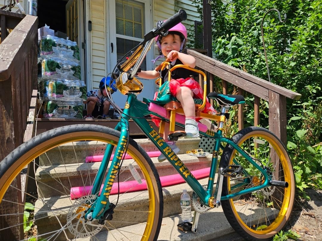 Kids Bike Seat, New Aluminum Alloy Child Bike Seat, Portable Foldable Front Mounted Child Bicycle Seats, Mountain Bike Kids Safety Seat Suitable for Hybrid Cruiser Bicycles customer photo 1