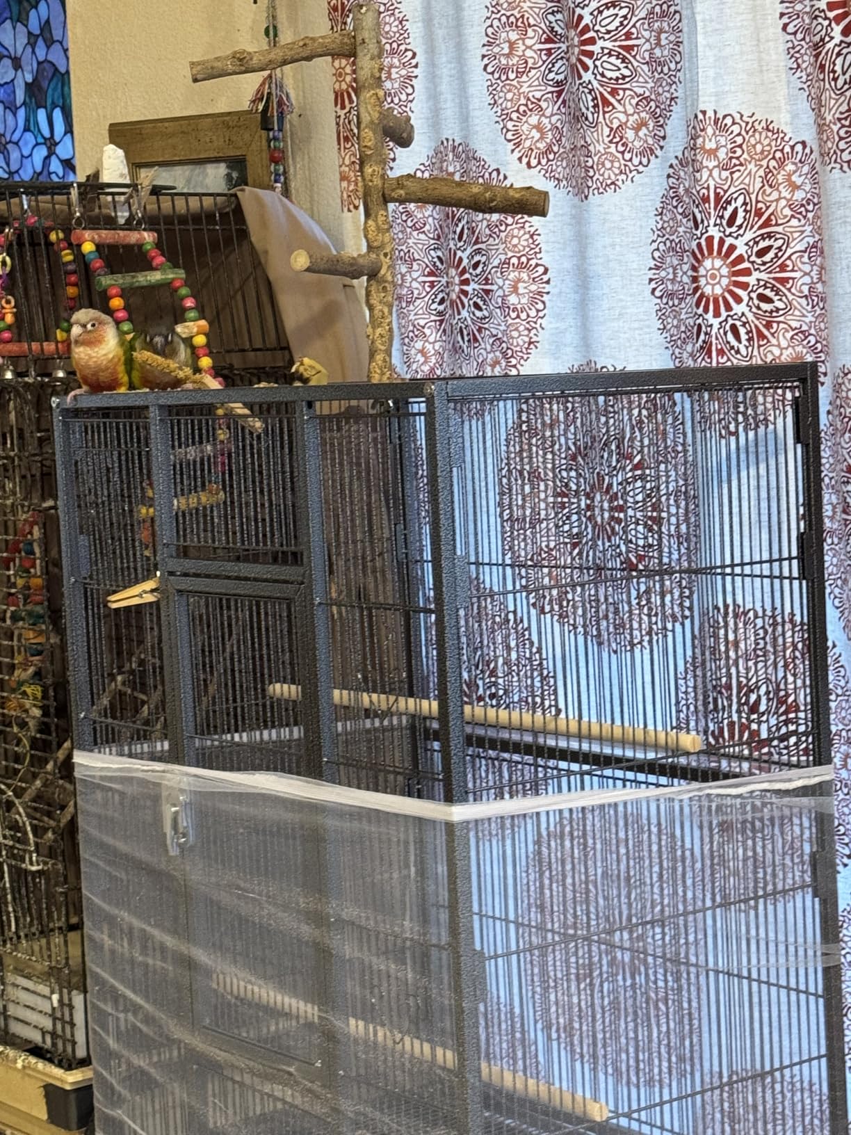 YITAHOME 53.9 inches Metal Bird Cage for Parakeets customer photo 2
