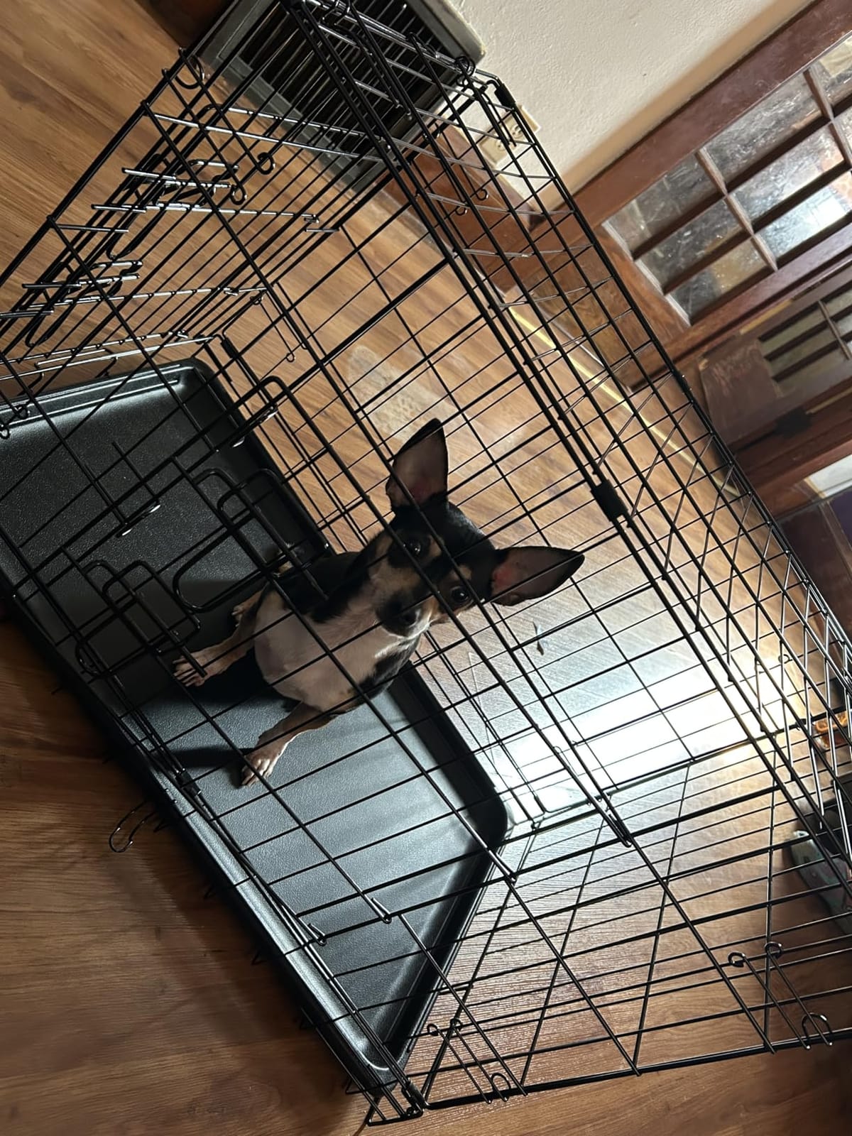 Sweetcrispy 36 Inch Dog Crate, Medium Dog Cage, Foldable Puppy Pet Kennel customer photo 2