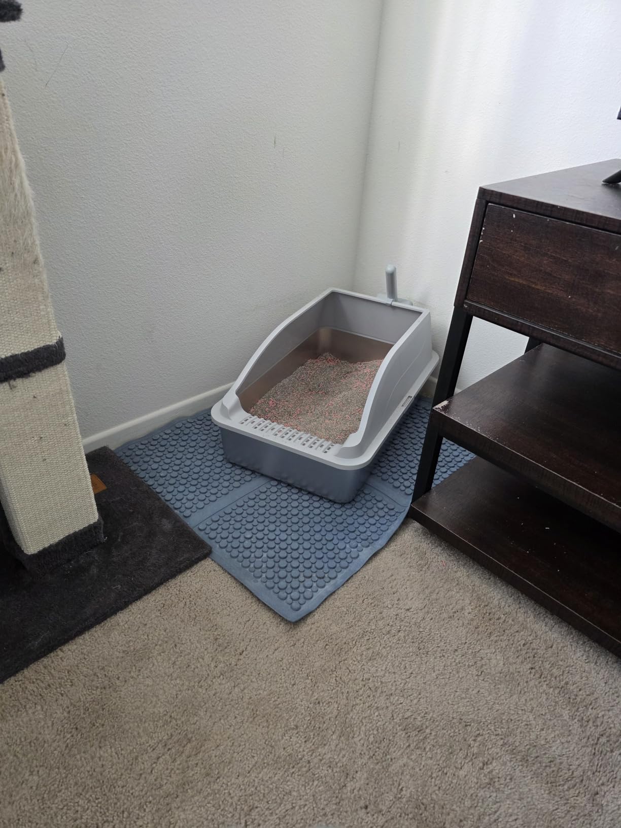 Stainless Steel Litter Box with Lid, High Sided Enclosed Metal Litter Box for Big Cats, Easy Cleaning Anti-Urine Leakage, Non-Sticky Cat Box, Front Entry Top Exit KittyBox, Includes Mat & Scoop customer photo 1