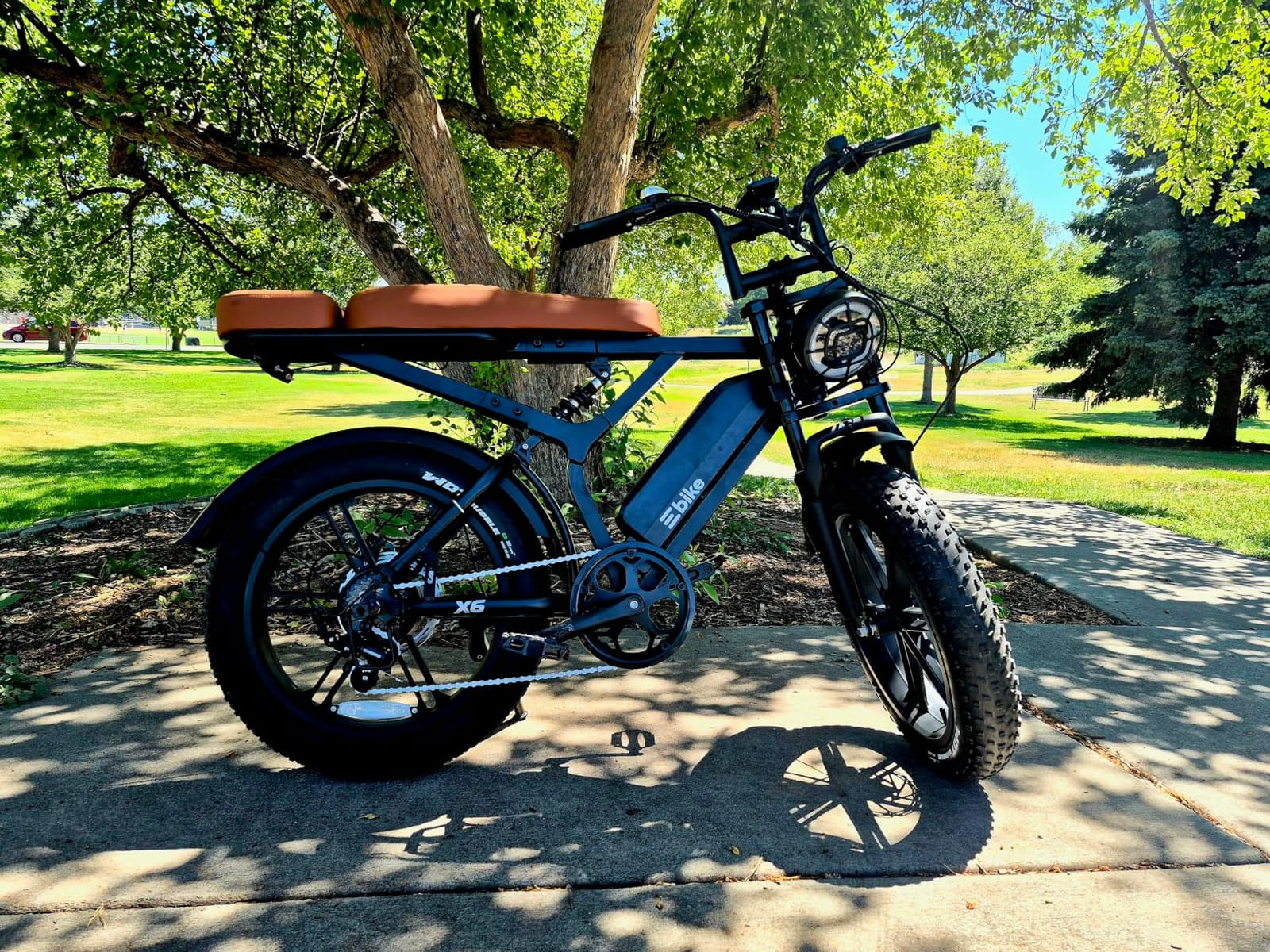 Electric Bike for Adults,48V Removable Battery Retro Ebike,28MPH Top Speed customer photo 2