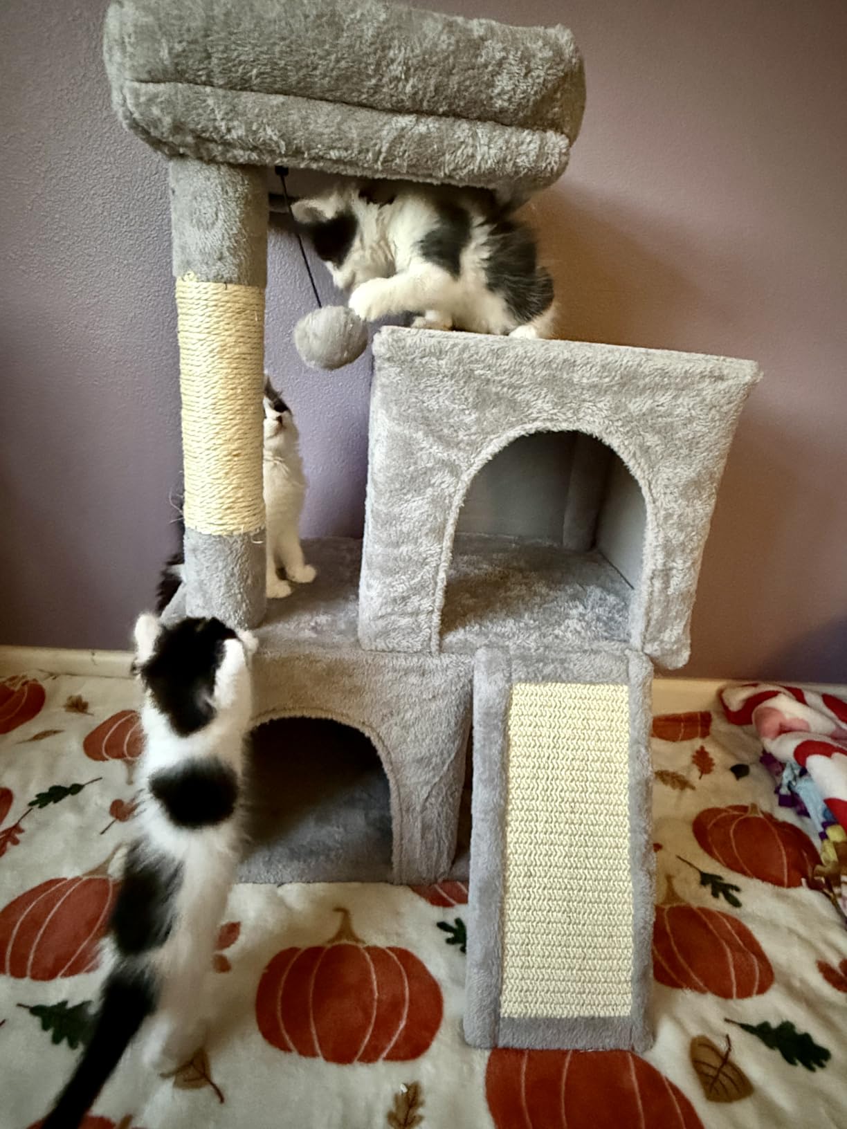 PAWZ Road Large Cat Tree, 45