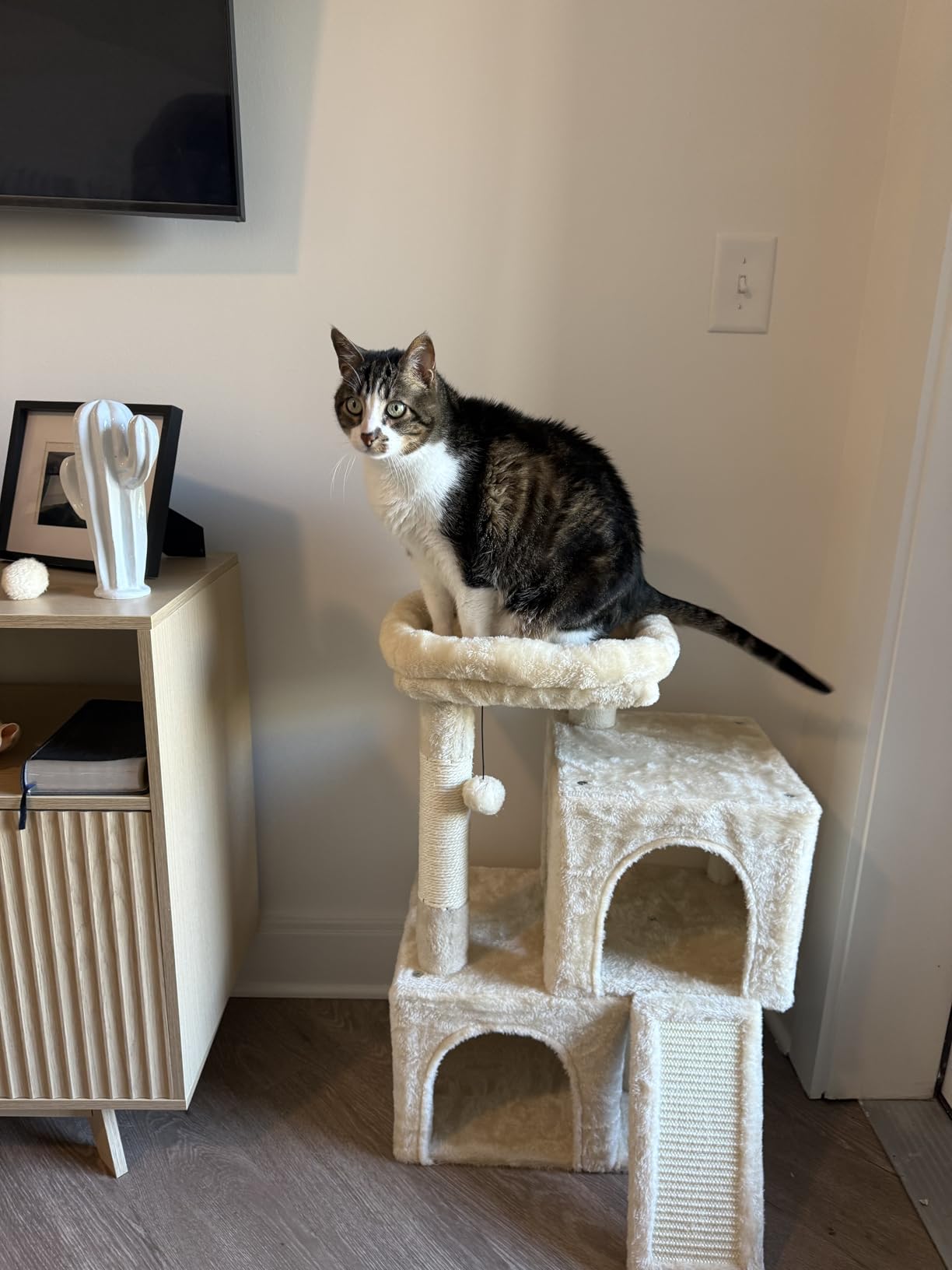 PAWZ Road Large Cat Tree, 45