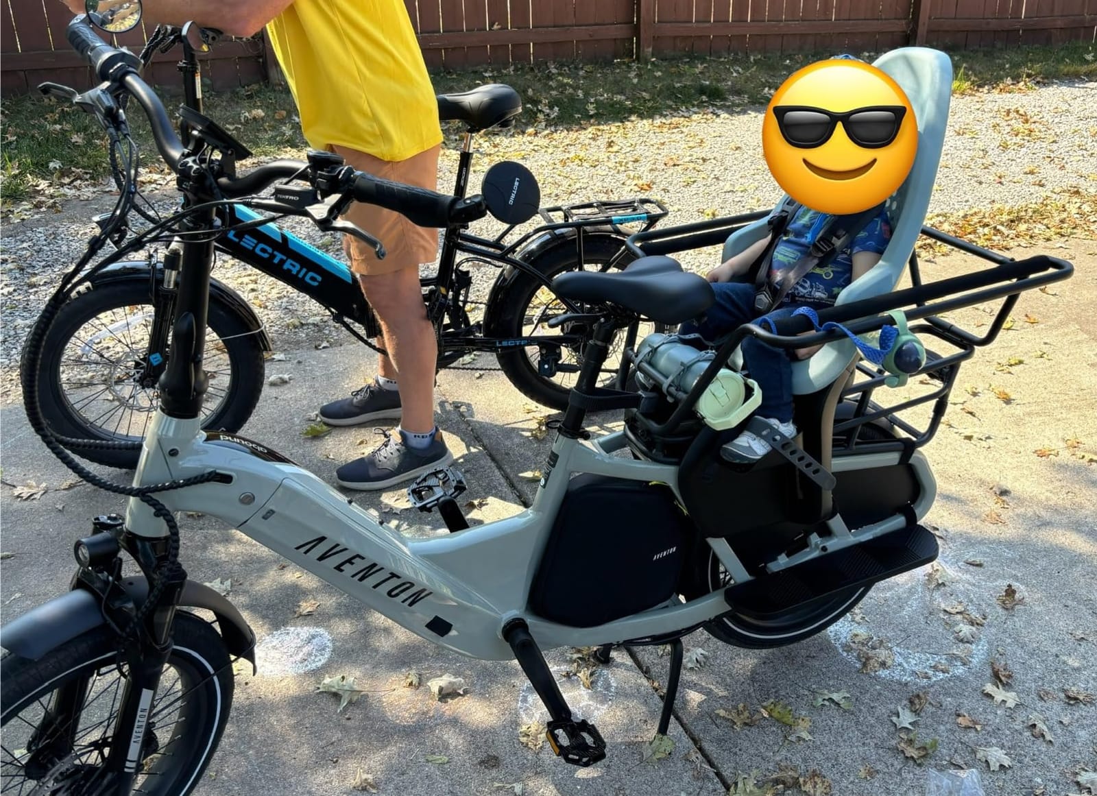 Thule Yepp 2 Mounted Child Bike seat, Adjustable footrests, 5-Point Harness and Easy to Mount Design customer photo 1