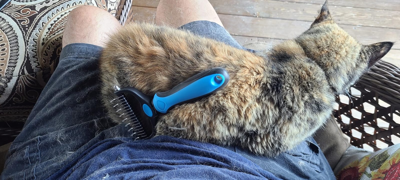 Professional 3PCS Self Cleaning Slicker Brush & Pet Grooming Rake & Flea Comb for Dogs,Cats and Horses | Double-Sided Dematting Comb & Skin Friendly Deshedding Grooming Tool | Pet Supplies customer photo 2