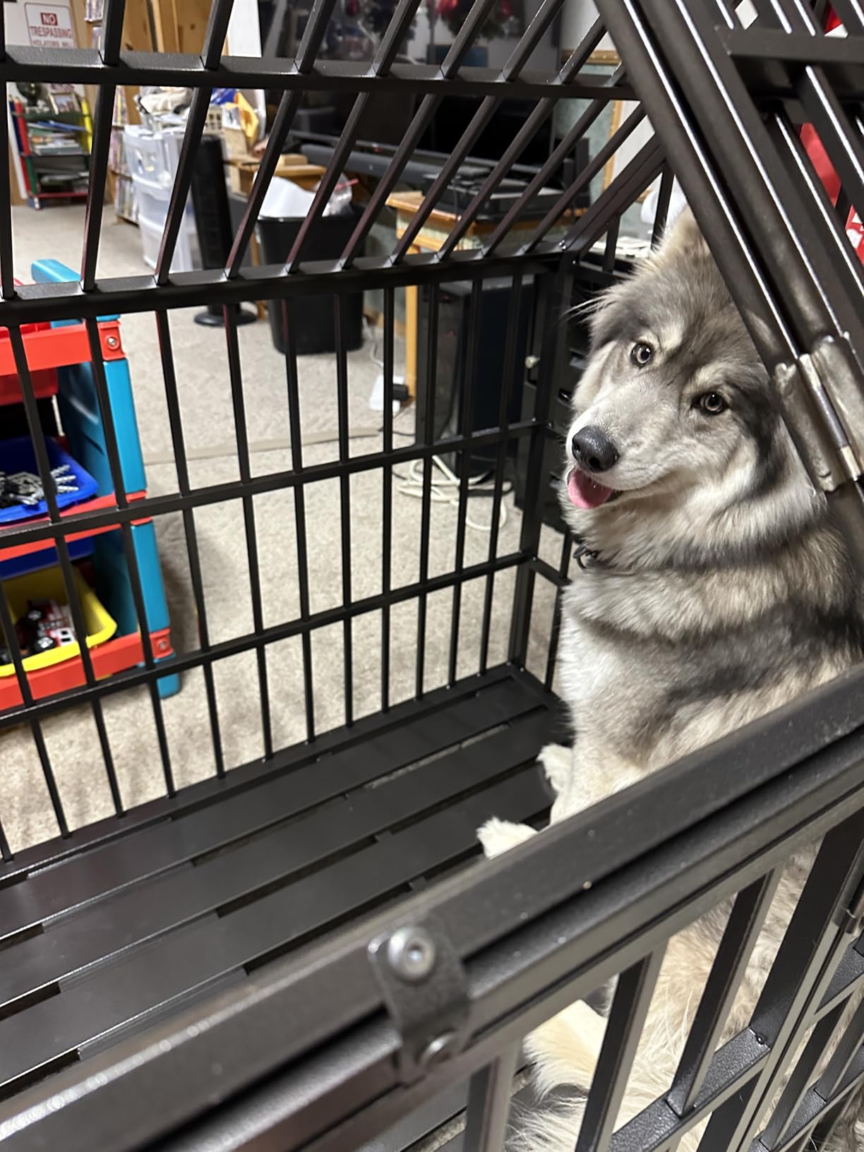 64 inch Heavy Duty Indestructible Dog Crate, New Upgraded Reinforced for Giant Dogs, XXXL Dog Crate for High Anxiety Dogs/Max Load Capacity 300lbs/Double Door with Wheels customer photo 1