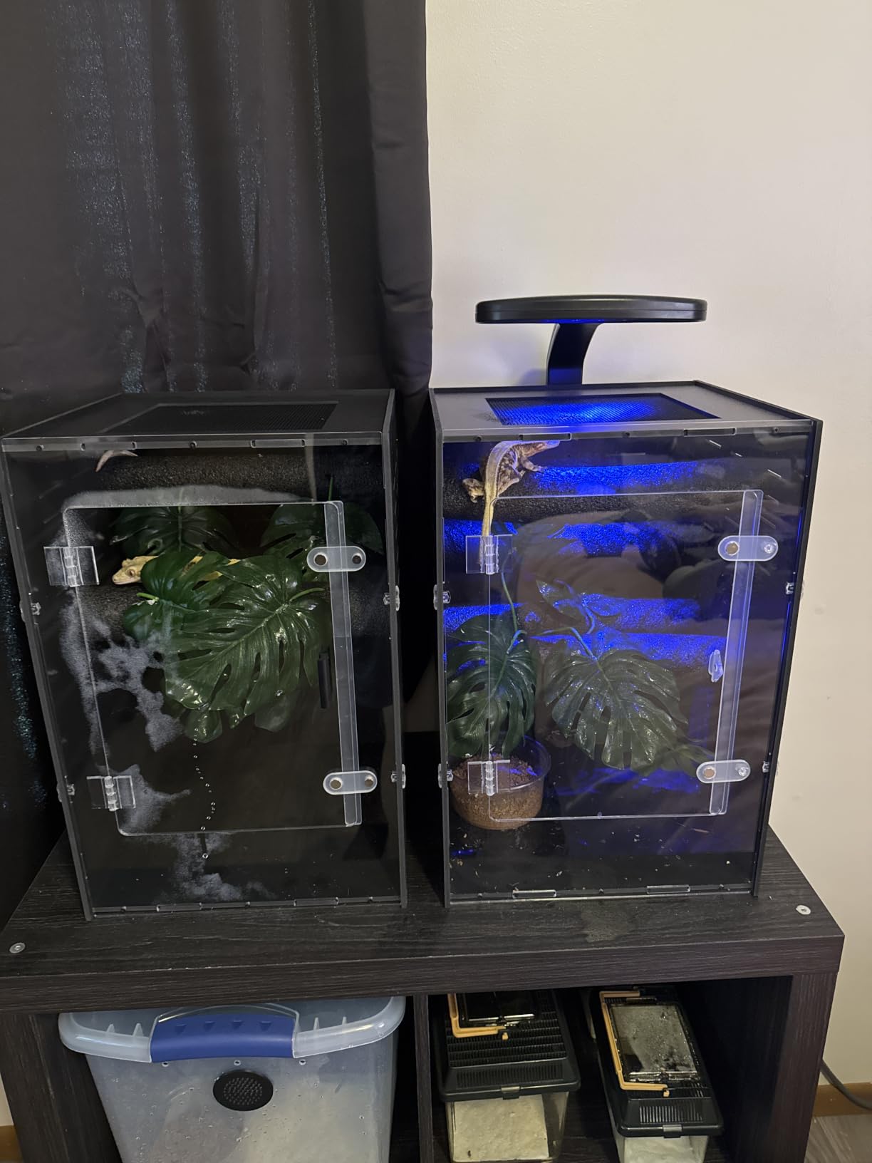 16x16x24 Black PVC Reptile Tank for Adult Reptiles, Front Opening customer photo 1