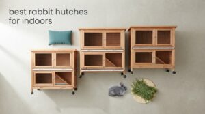 best rabbit hutches for indoors